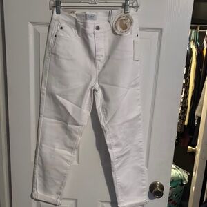 Curve Appeal Women's White Capris